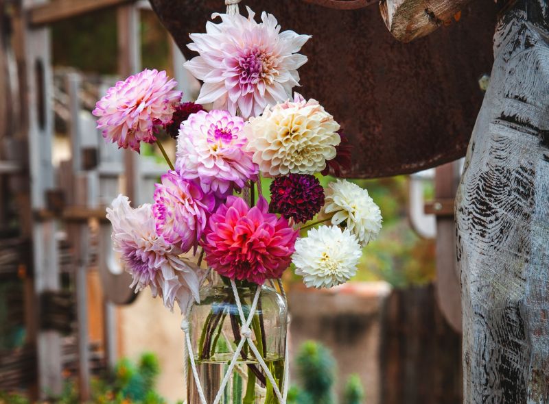 Macrame hanging baskets: Plants in mid-air