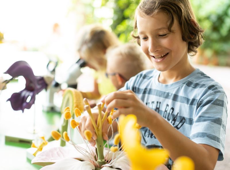 Blümchensex? Eine botanische Aufklärung