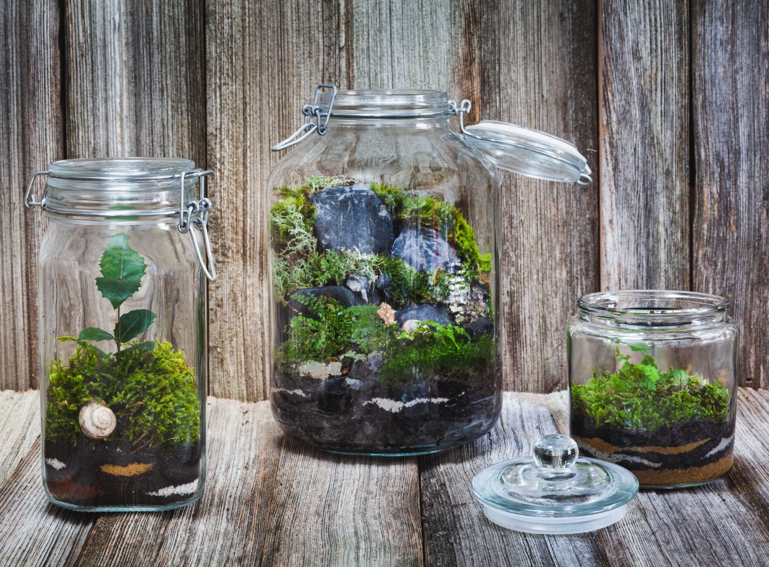 Mini-terrarium: A glass garden (9.00 AM)